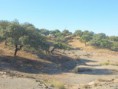 /album/photo-gallery-photogallery/scenery-inside-the-national-park-sierra-de-hornachuelos-seville-province-jpg/
